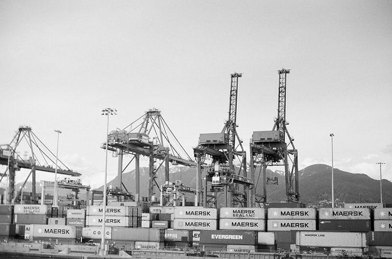 Cargo Inspection